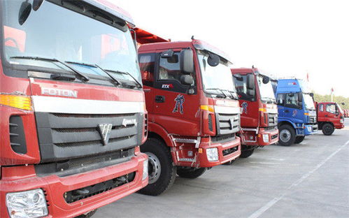 樂(lè)清柳市至奎屯市專(zhuān)業(yè)物流托運(yùn)專(zhuān)線(xiàn)服務(wù)詳解