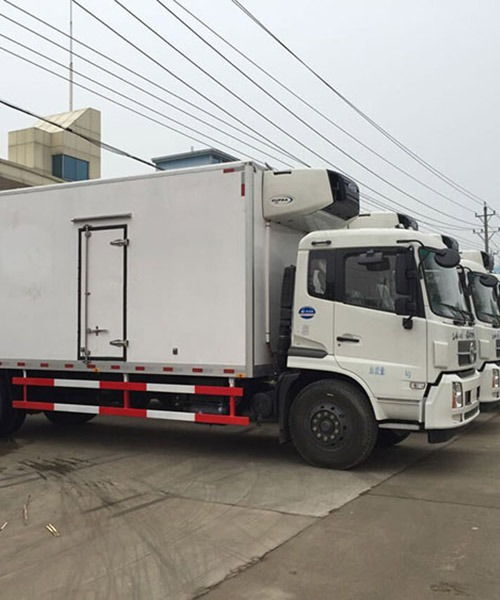 上海至南昌冷鏈物流專(zhuān)線(xiàn) 專(zhuān)業(yè)冷藏運(yùn)輸公司的服務(wù)解析與選擇指南